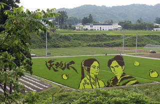 Illustration for article titled Un pueblo japonés convierte sus campos de arroz en dibujos gigantes